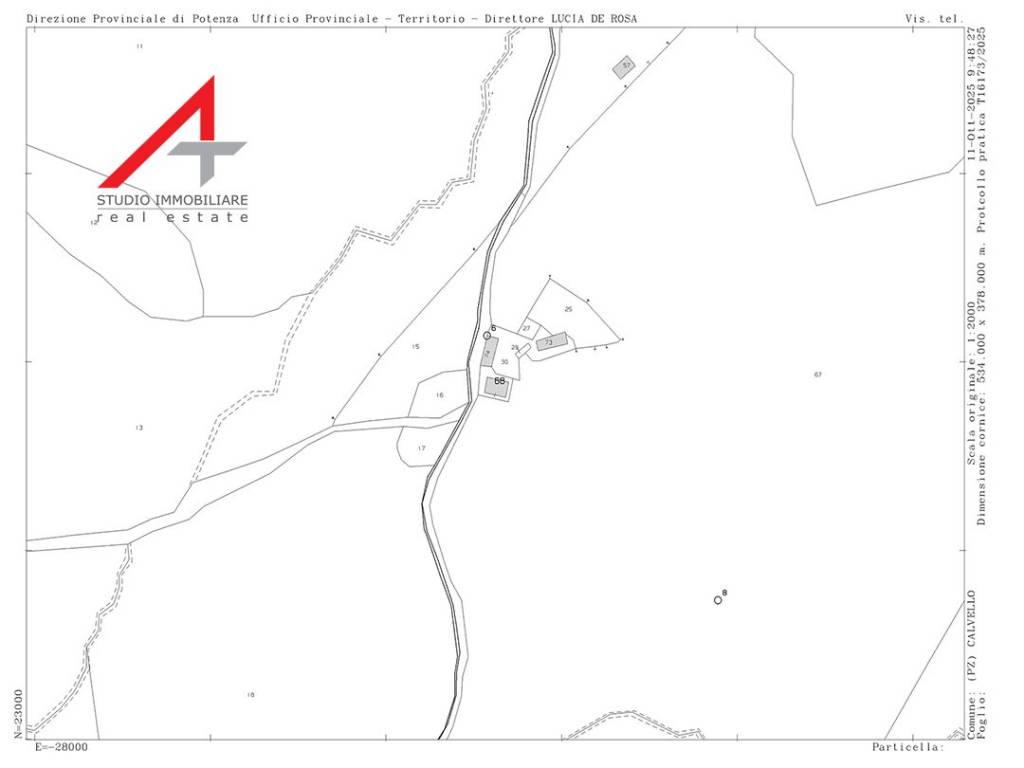 immagine annuncio 12 di 15