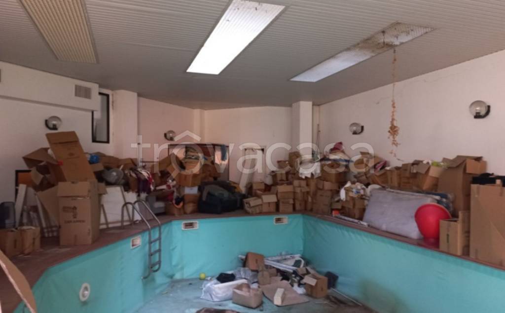 immagine annuncio 6 di 14