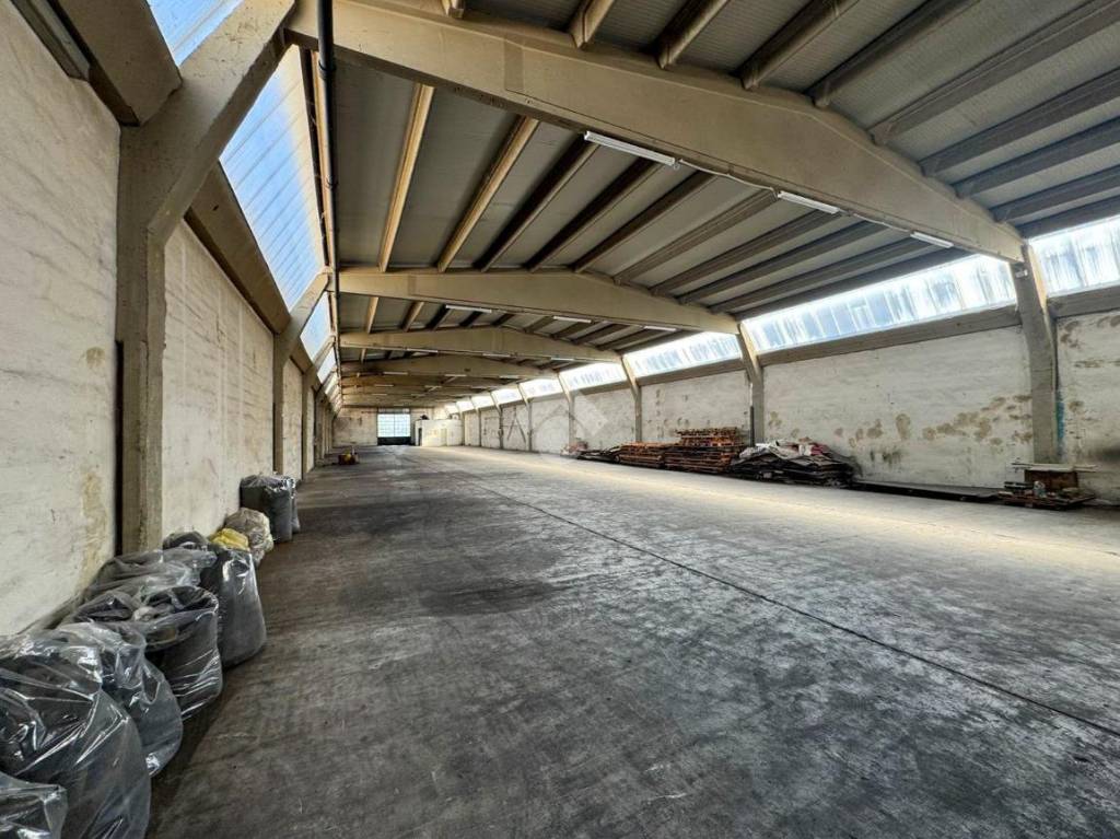 immagine annuncio 4 di 15