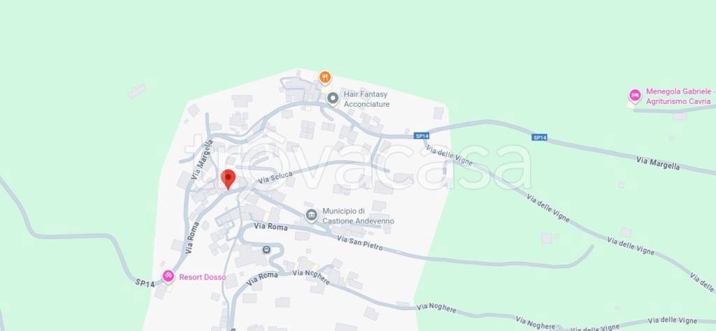 immagine annuncio 1 di 15