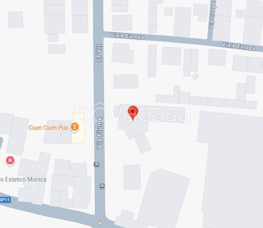 immagine annuncio 9 di 13