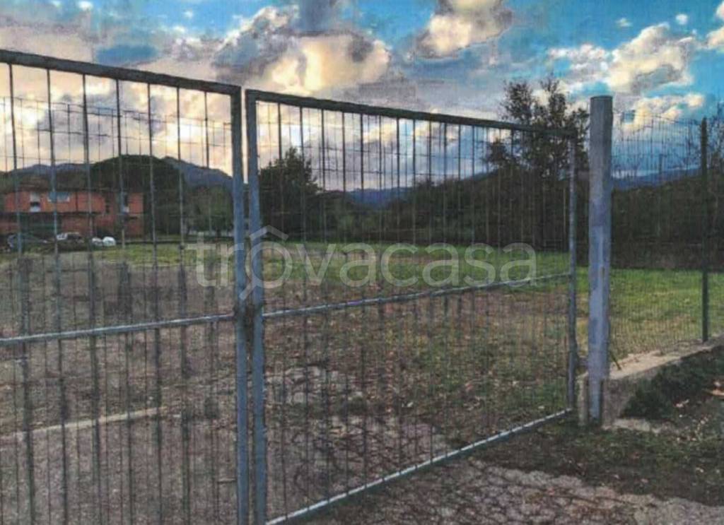 immagine annuncio 11 di 12