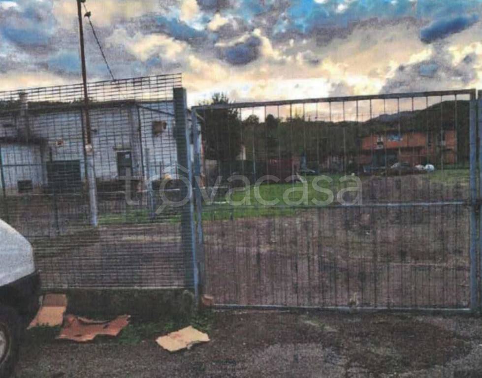 immagine annuncio 10 di 12