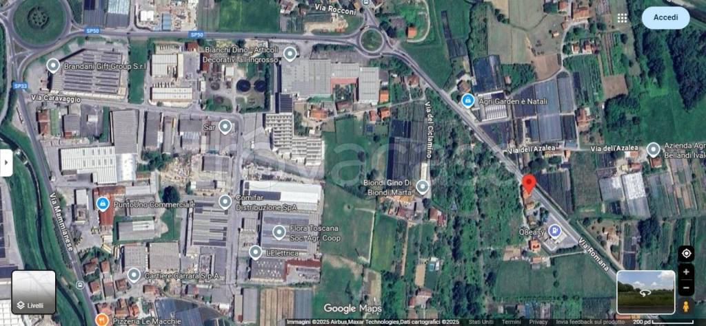 immagine annuncio 3 di 11