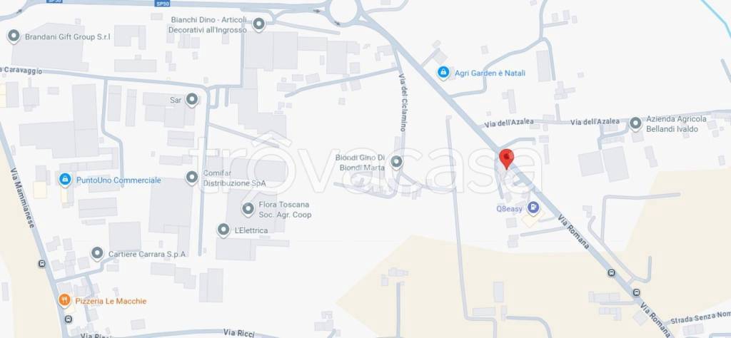 immagine annuncio 10 di 11