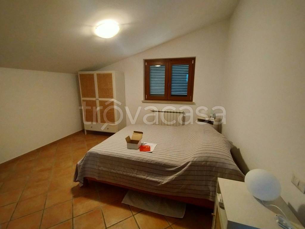 immagine annuncio 6 di 14