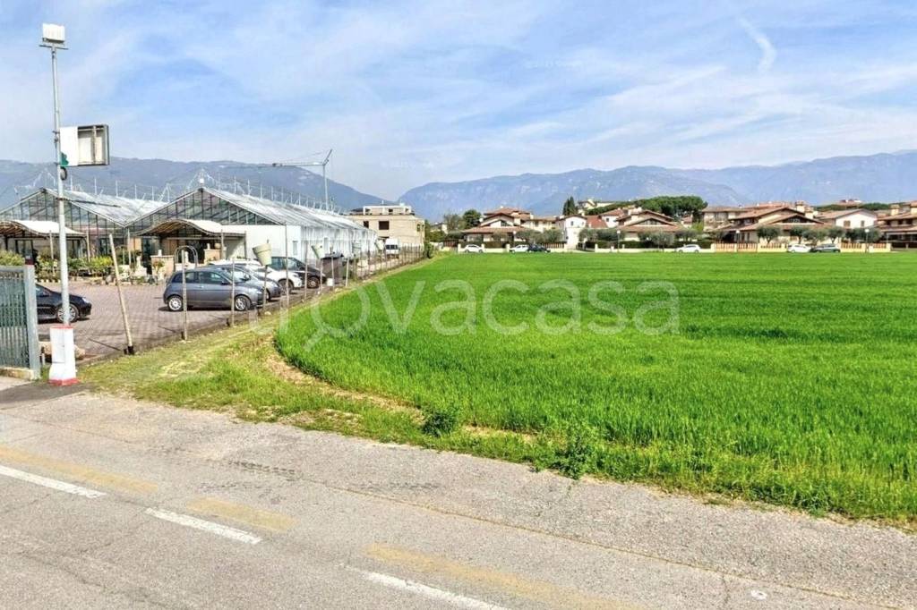 immagine annuncio 2 di 9