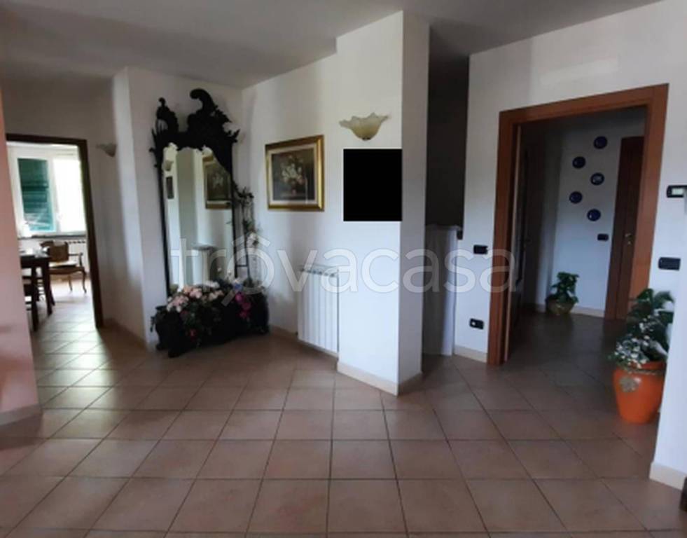 immagine annuncio 5 di 14