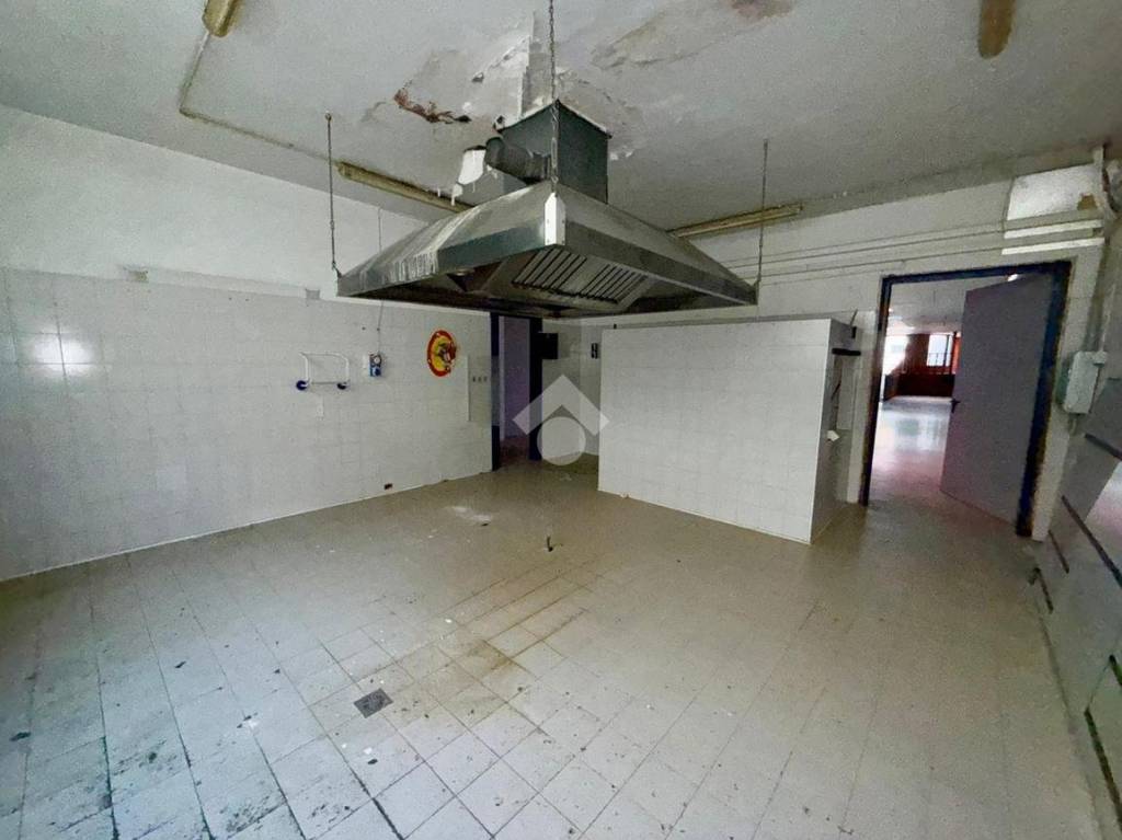 immagine annuncio 9 di 14