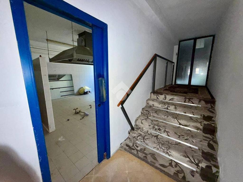 immagine annuncio 10 di 14