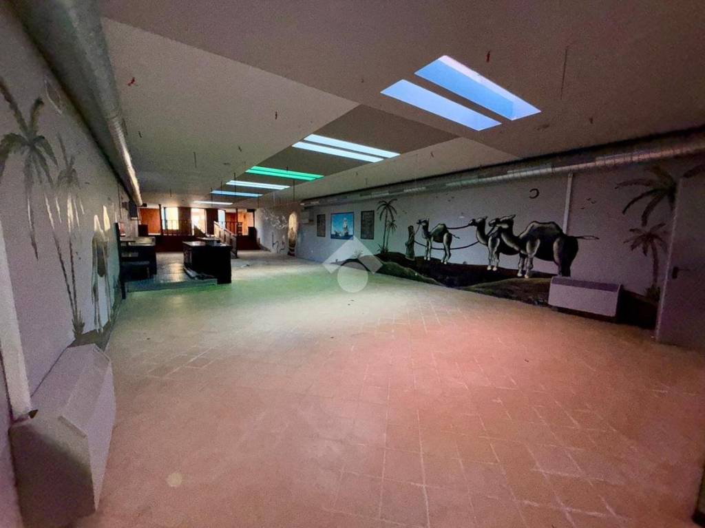 immagine annuncio 11 di 14