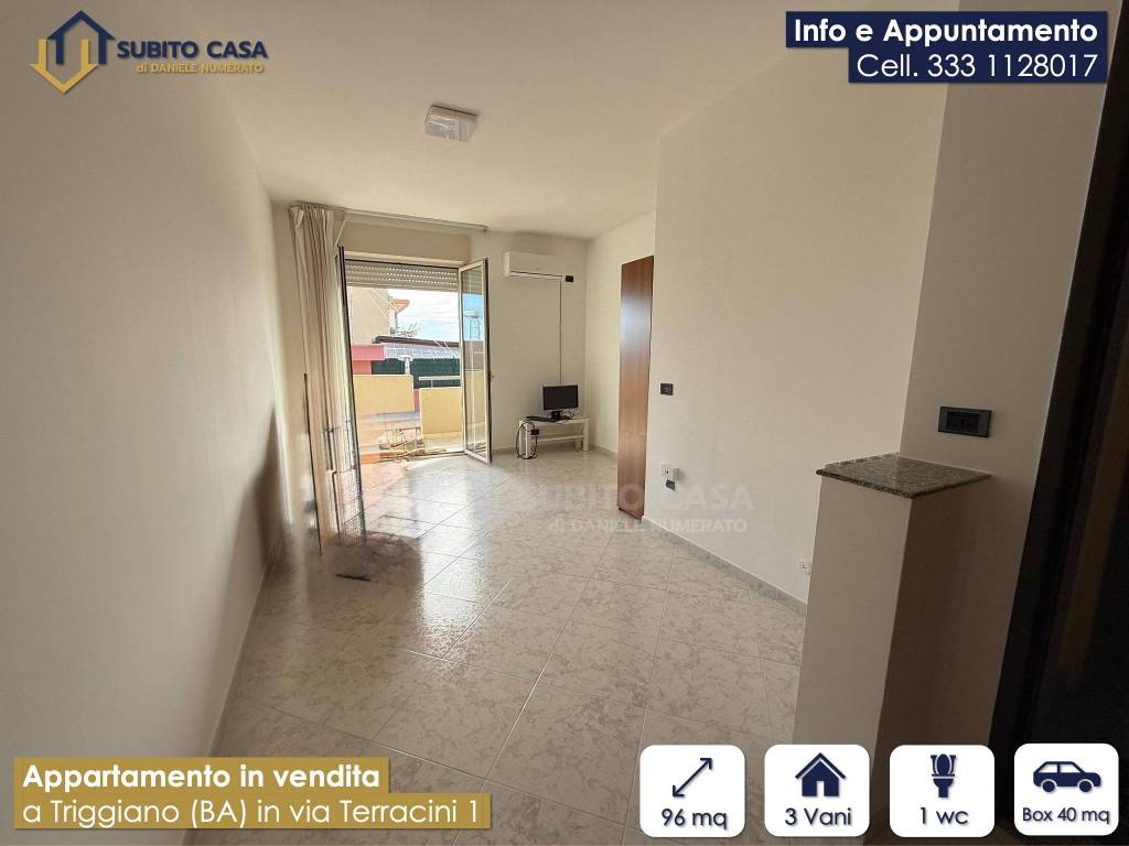 immagine annuncio 2 di 15