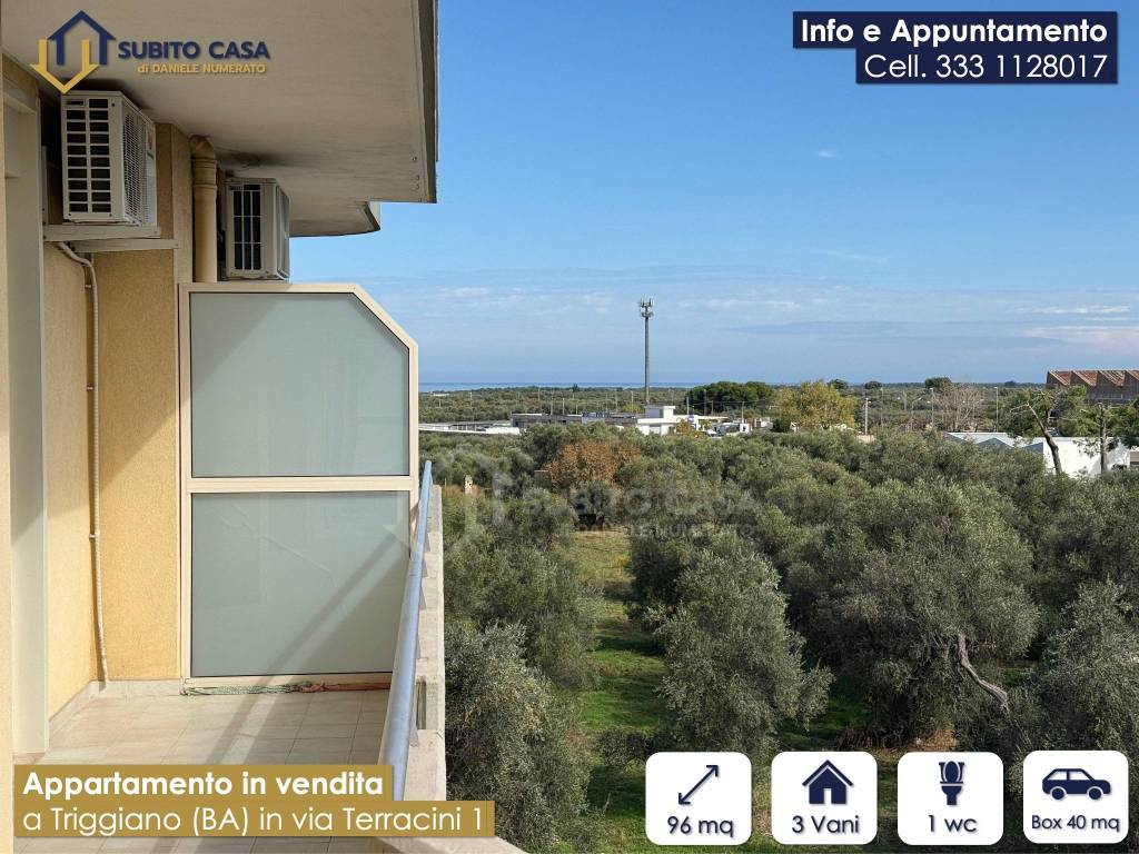 immagine annuncio 11 di 15