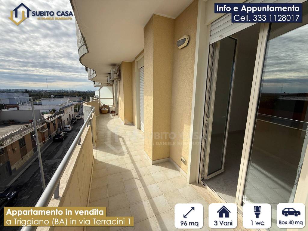 immagine annuncio 12 di 15