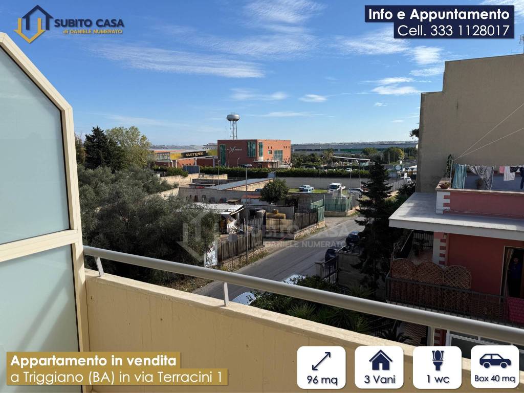 immagine annuncio 13 di 15