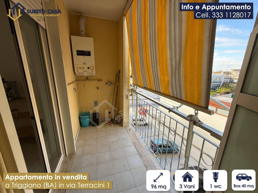 immagine annuncio 14 di 15