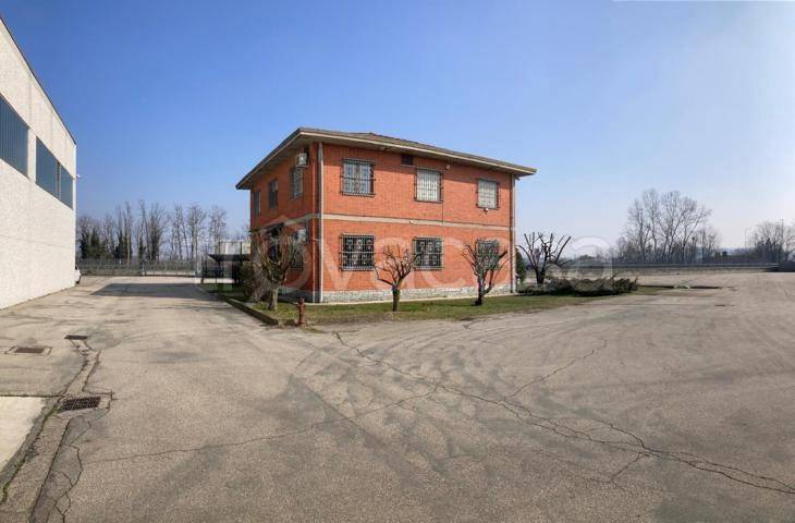 immagine annuncio 9 di 15