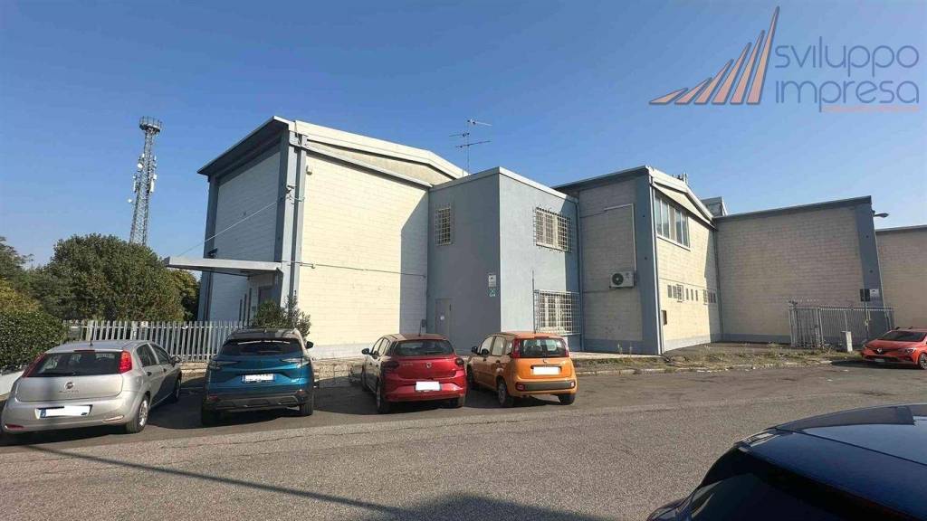 immagine annuncio 8 di 15