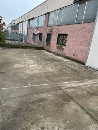 immagine annuncio 2 di 4