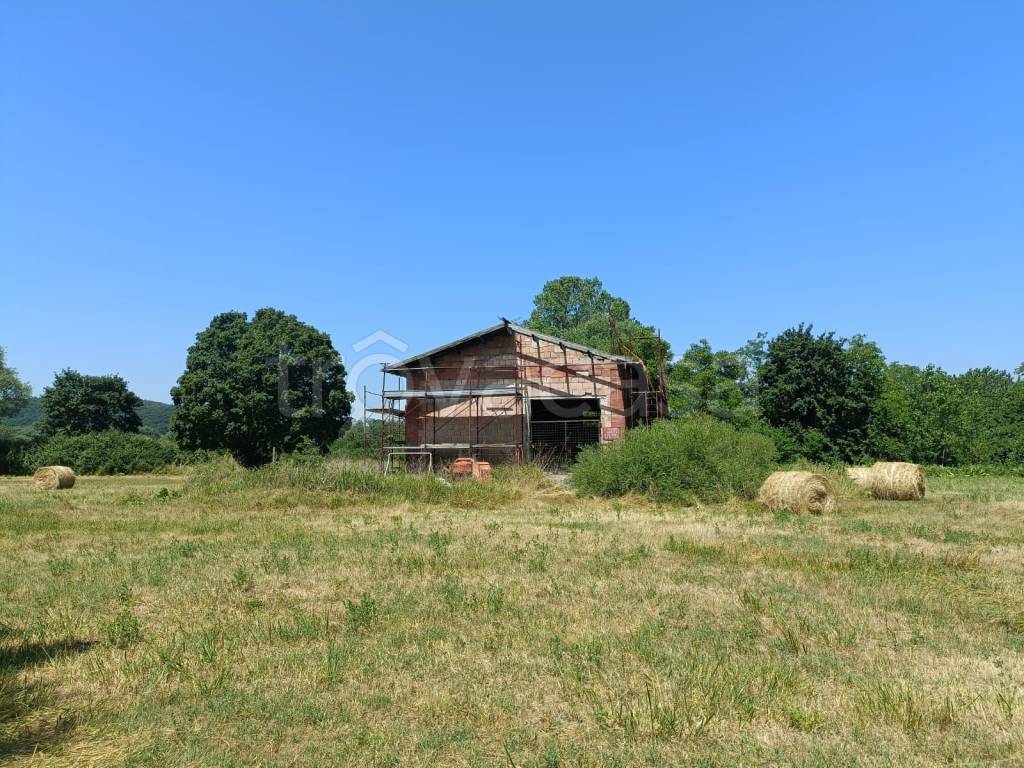 immagine annuncio 2 di 8