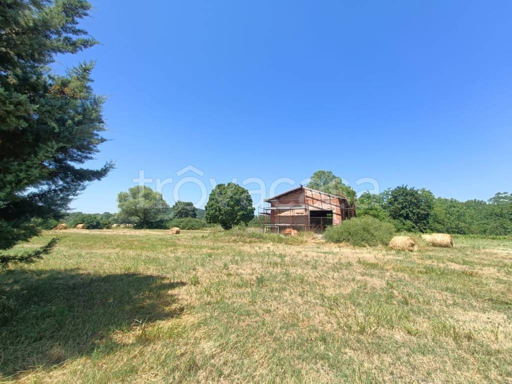 immagine annuncio 3 di 8