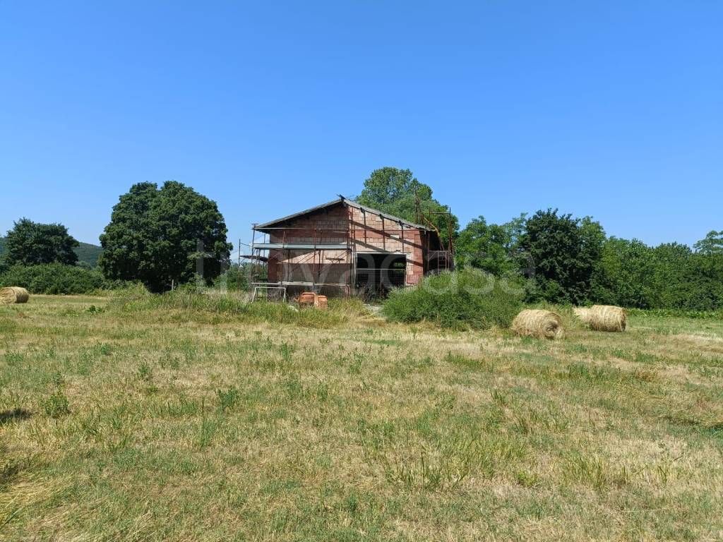 immagine annuncio 6 di 8