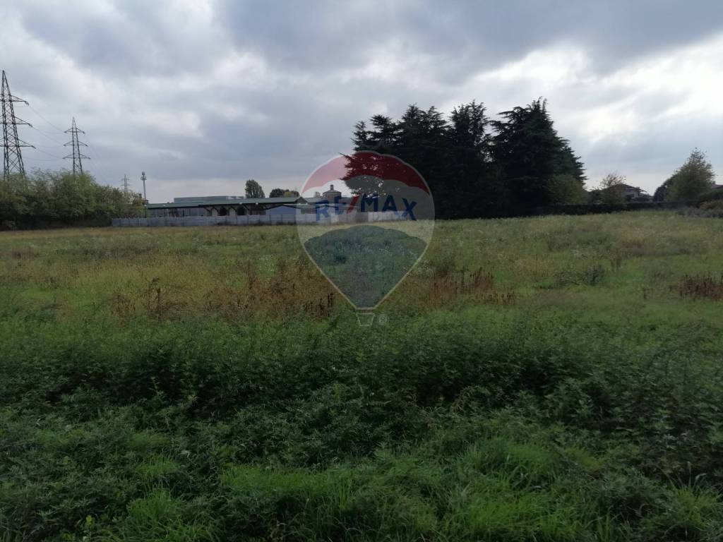 immagine annuncio 3 di 6