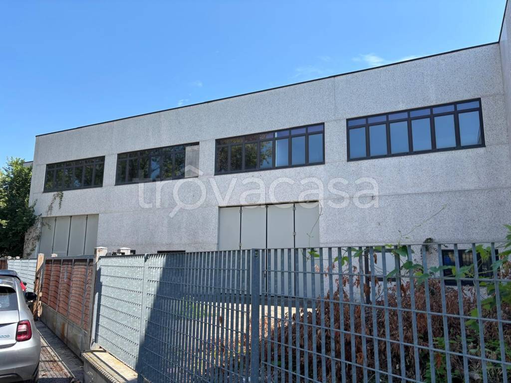 immagine annuncio 3 di 6