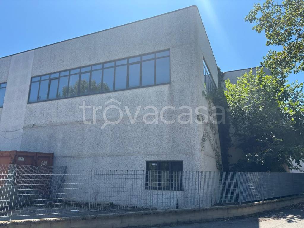 immagine annuncio 1 di 6