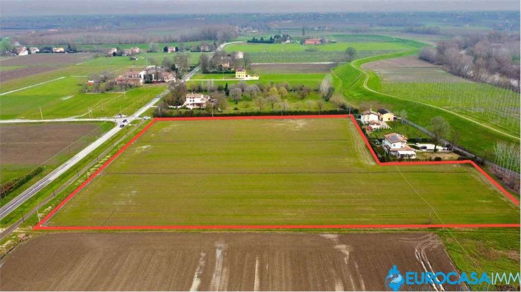 immagine annuncio 4 di 7