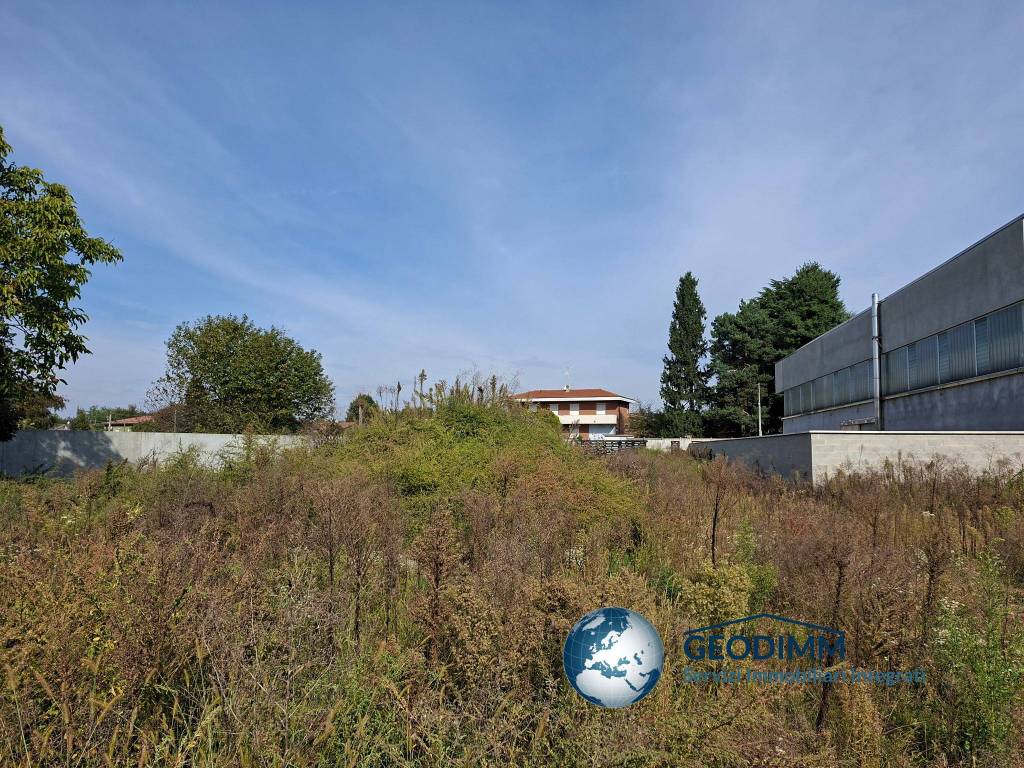 immagine annuncio 12 di 13