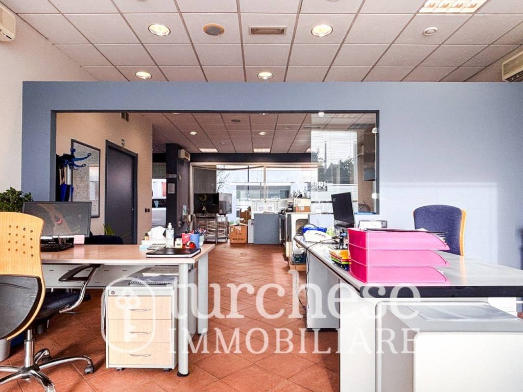 immagine annuncio 4 di 15