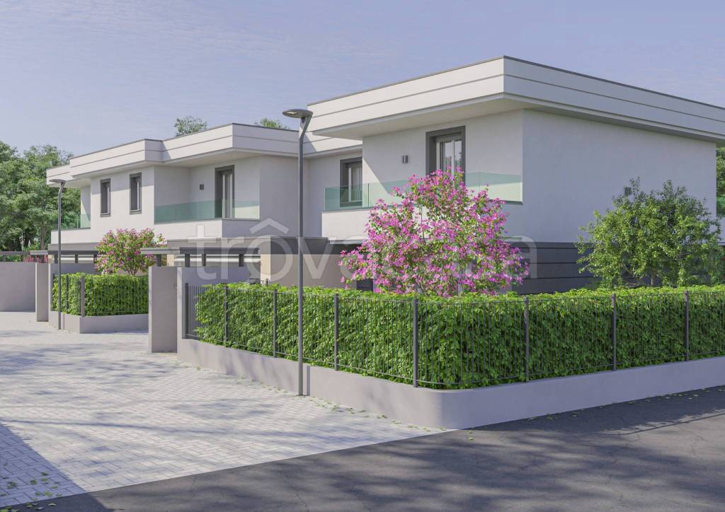 immagine annuncio 1 di 12