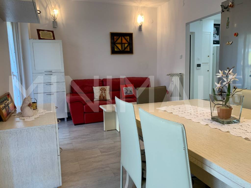 immagine annuncio 2 di 12