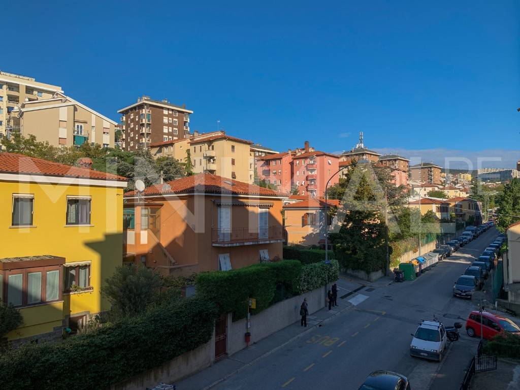 immagine annuncio 4 di 12