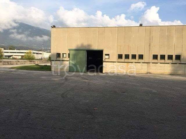 immagine annuncio 3 di 8