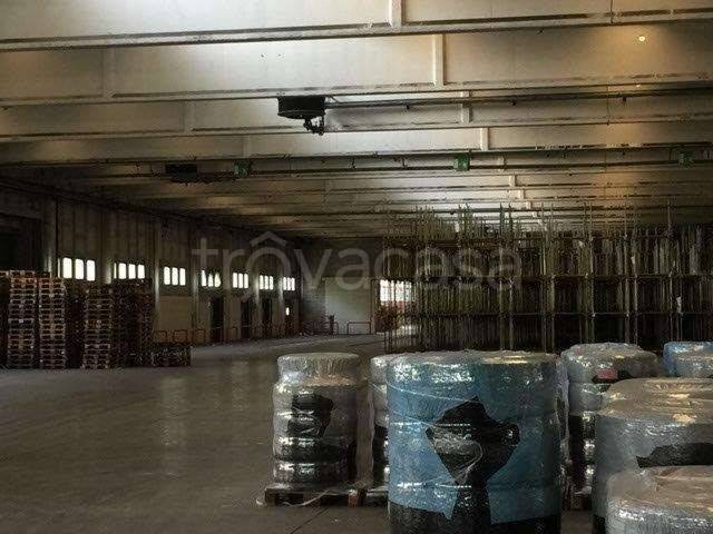 immagine annuncio 6 di 8