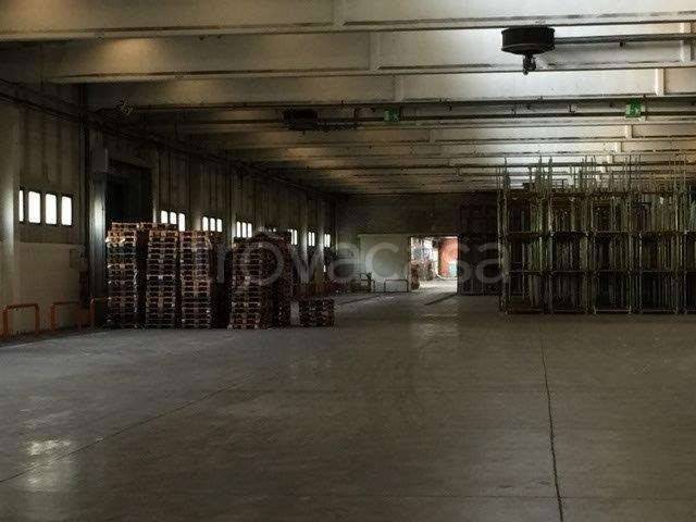 immagine annuncio 7 di 8