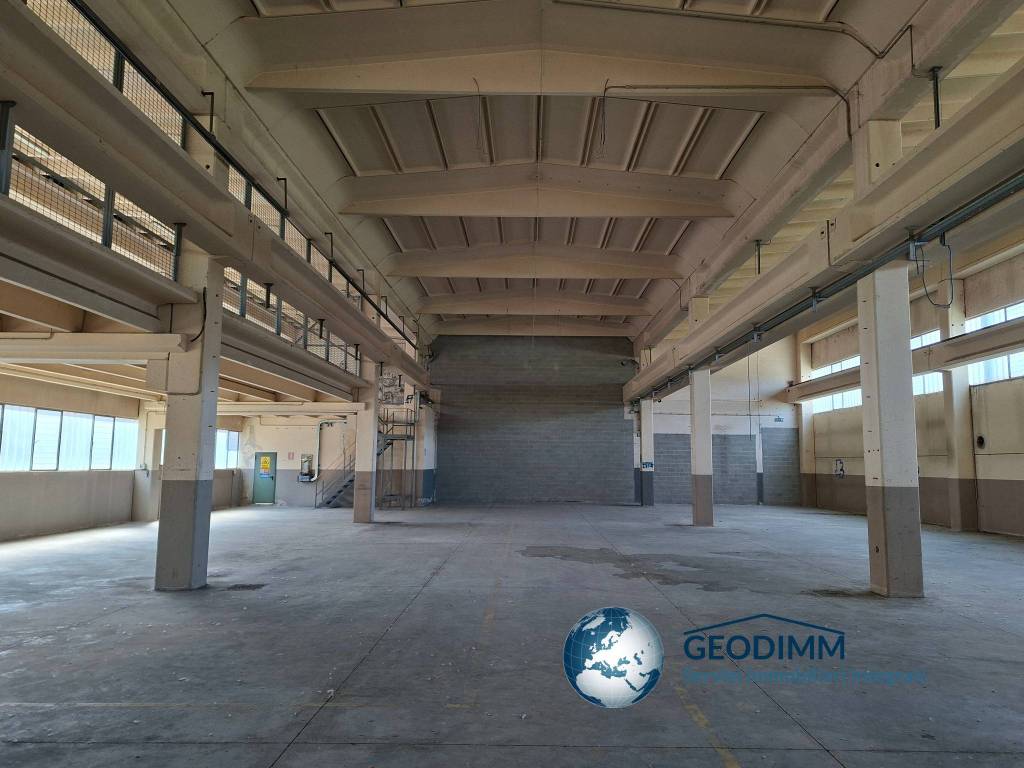 immagine annuncio 4 di 15