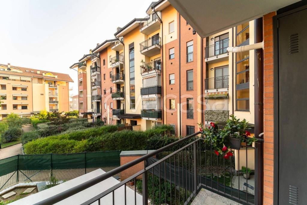 immagine annuncio 11 di 15