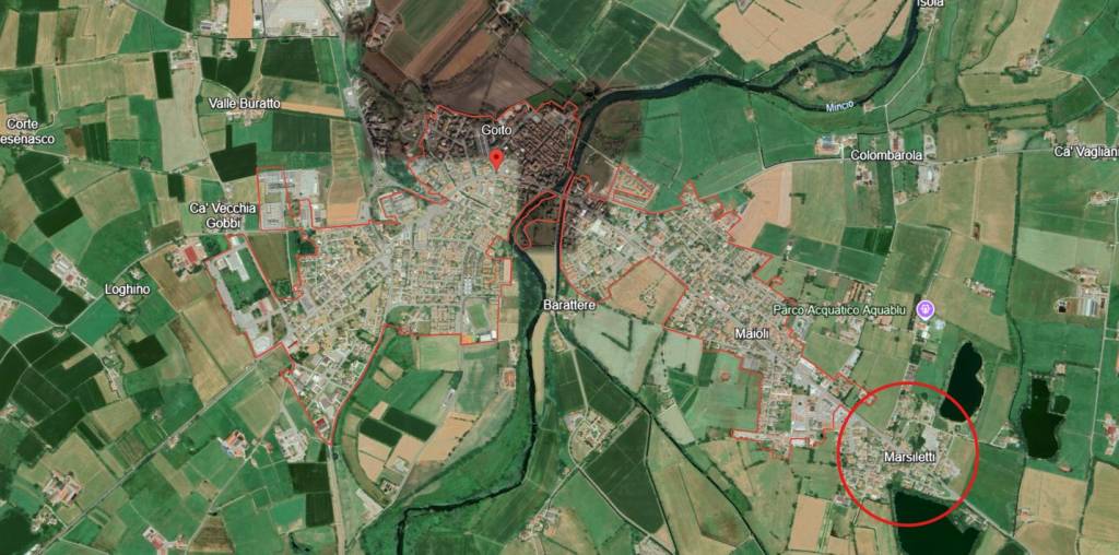 immagine annuncio 4 di 8