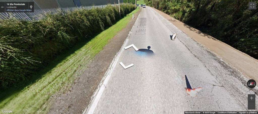 immagine annuncio 1 di 11