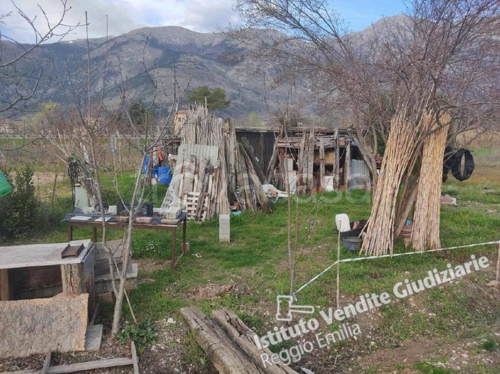 immagine annuncio 1 di 14