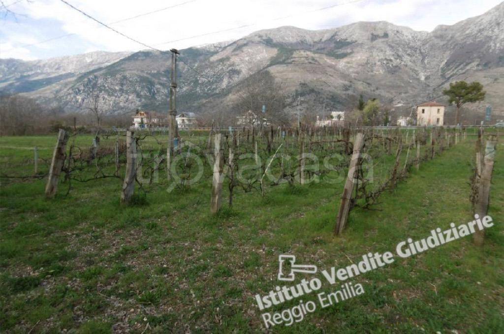 immagine annuncio 10 di 14