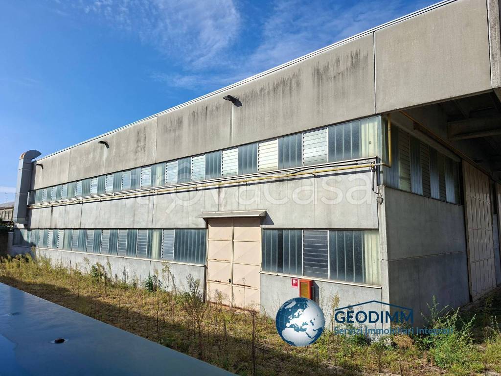 immagine annuncio 12 di 15