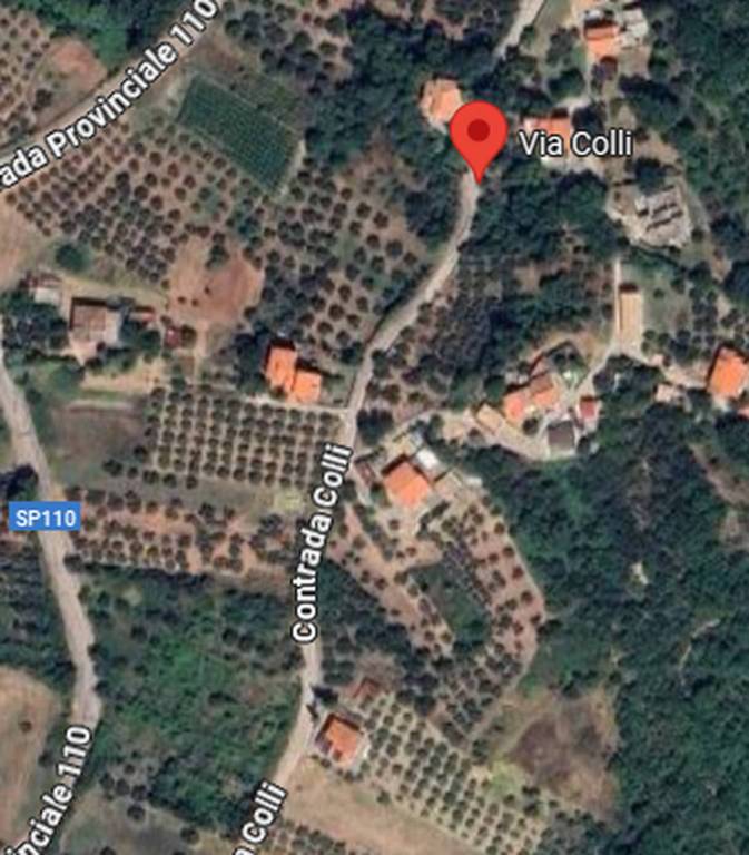 immagine annuncio 10 di 11