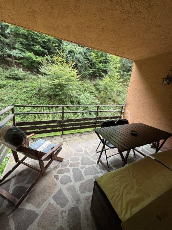 immagine annuncio 9 di 14