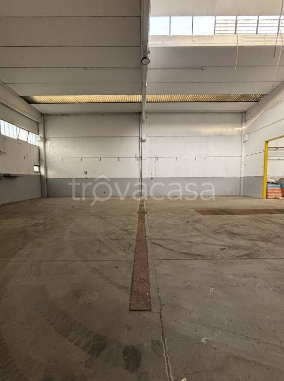 immagine annuncio 12 di 13