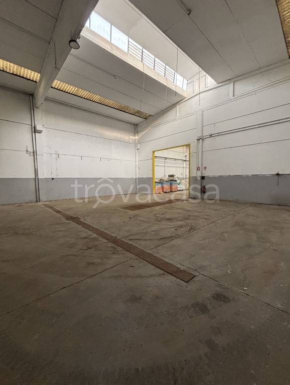 immagine annuncio 2 di 13