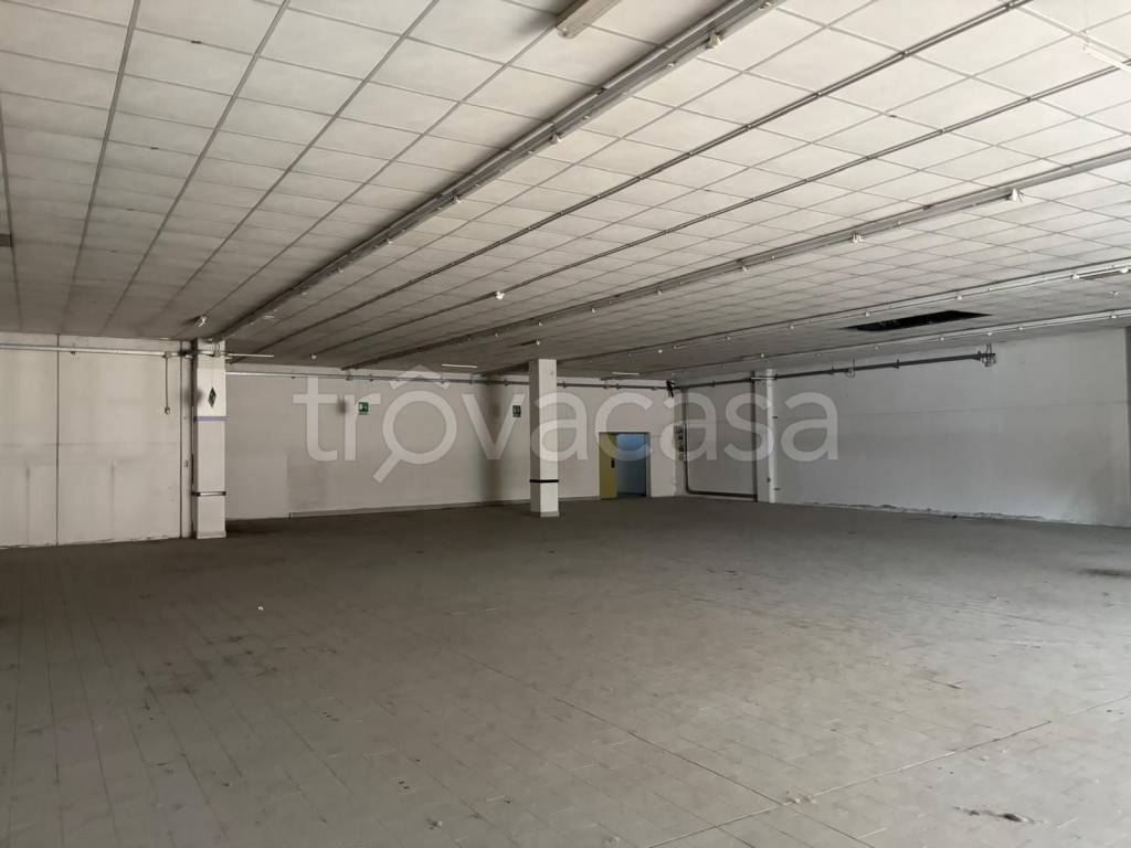 immagine annuncio 4 di 8